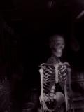 Skeleton in the Glaze Room